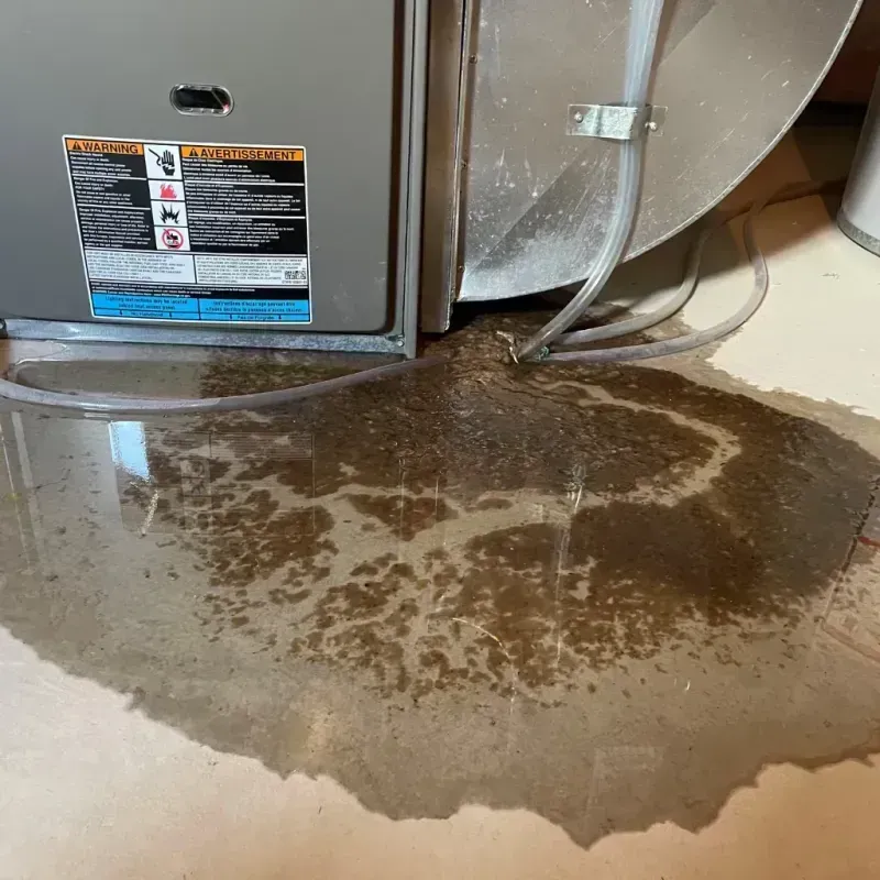 Appliance Leak Cleanup in Marysville, KS